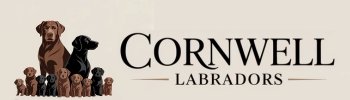 cornwelllabs